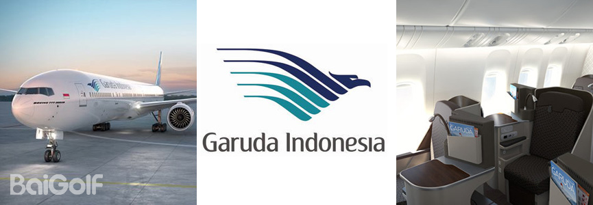 印尼鹰航 印尼鹰航