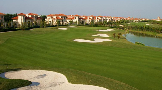 棕榈滩高尔夫球场图片