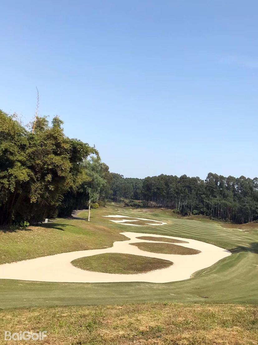 mission hills golf club-pete dye course